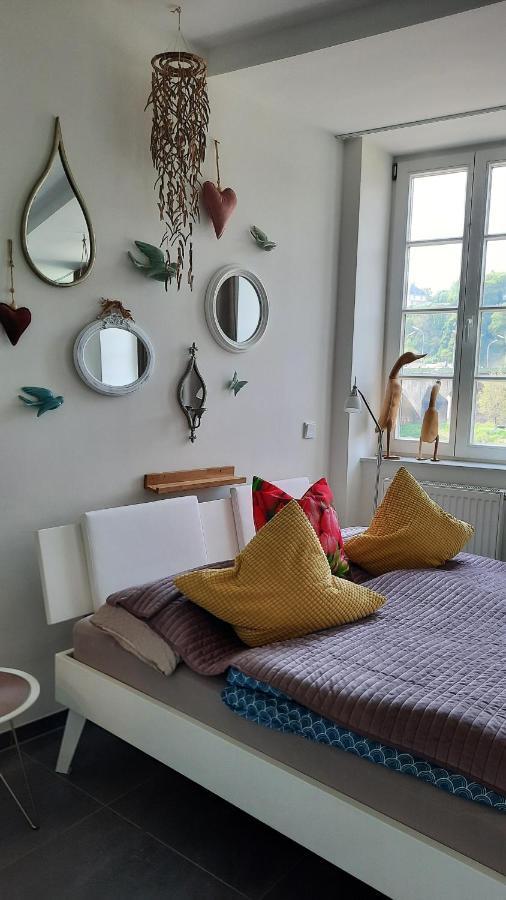 Apartment Am Zurlaubener Ufer トリーア エクステリア 写真