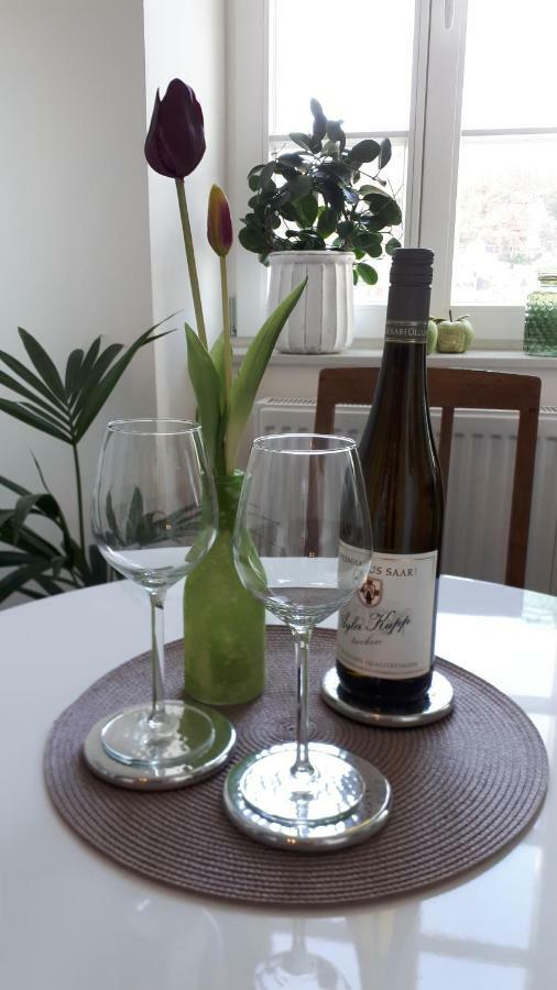 Apartment Am Zurlaubener Ufer トリーア エクステリア 写真