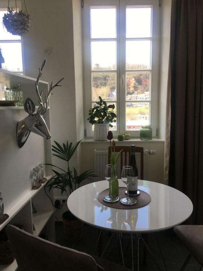 Apartment Am Zurlaubener Ufer トリーア エクステリア 写真