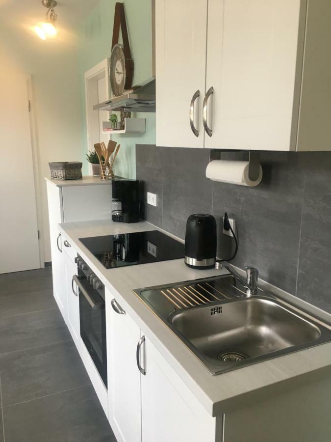 Apartment Am Zurlaubener Ufer トリーア エクステリア 写真